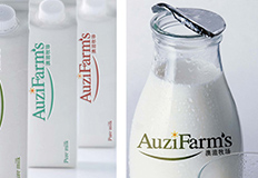 品牌設(shè)計(jì)需講求實(shí)事求是