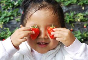 萊可福第二階段品牌包裝設(shè)計(jì)提案紀(jì)錄