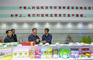 習(xí)近平主席在看《北斗設(shè)計(jì)公司》包裝策劃作品 習(xí)近平主席在看《北斗設(shè)計(jì)公司》包裝策劃作品