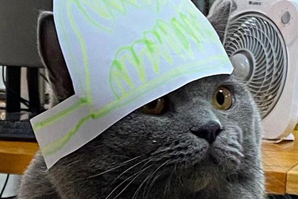 北斗設(shè)計(jì)總監(jiān)武相成觀點(diǎn)