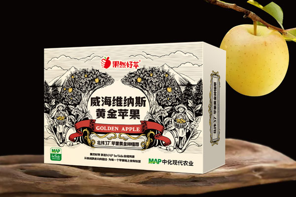 威海維納斯黃金蘋果包裝設(shè)計(jì)?美學(xué)解析
